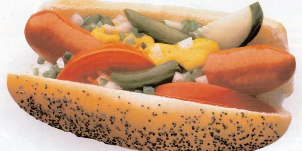 Chicago Dog